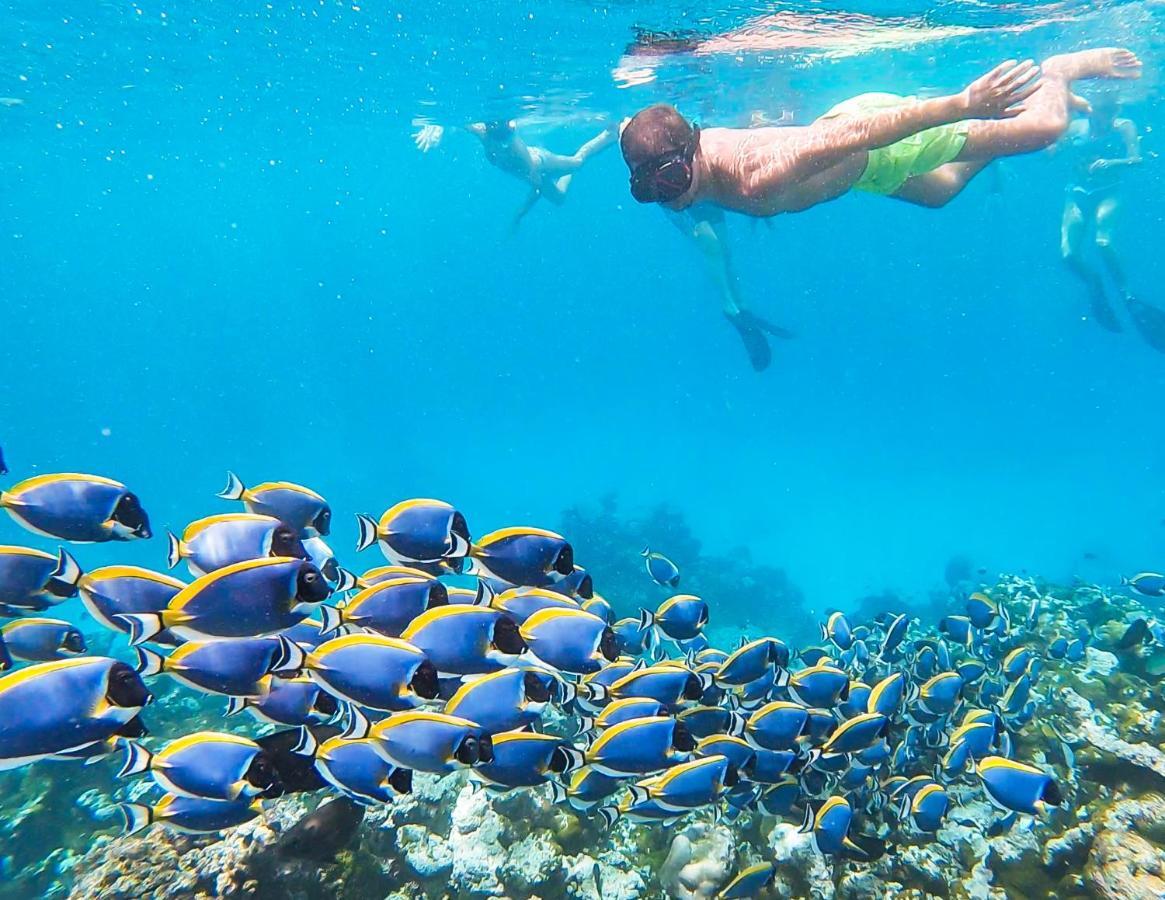 Old Town Inn Maldives Gaafaru Kültér fotó